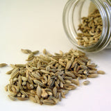 Fennel Seeds