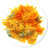 Calendula