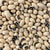 Cowpea