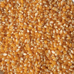 Yellow Corn