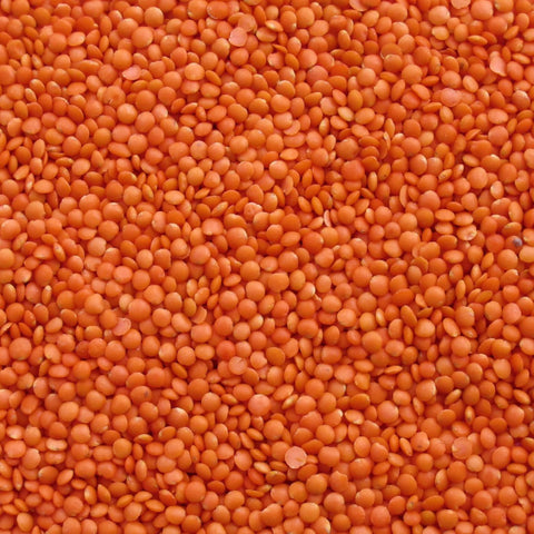 Orange Lentils