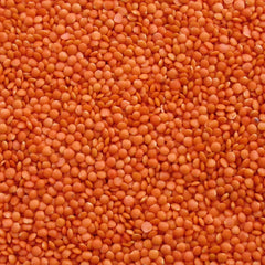 Orange Lentils
